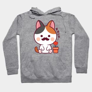 Mustache Cat Kawaii Hoodie